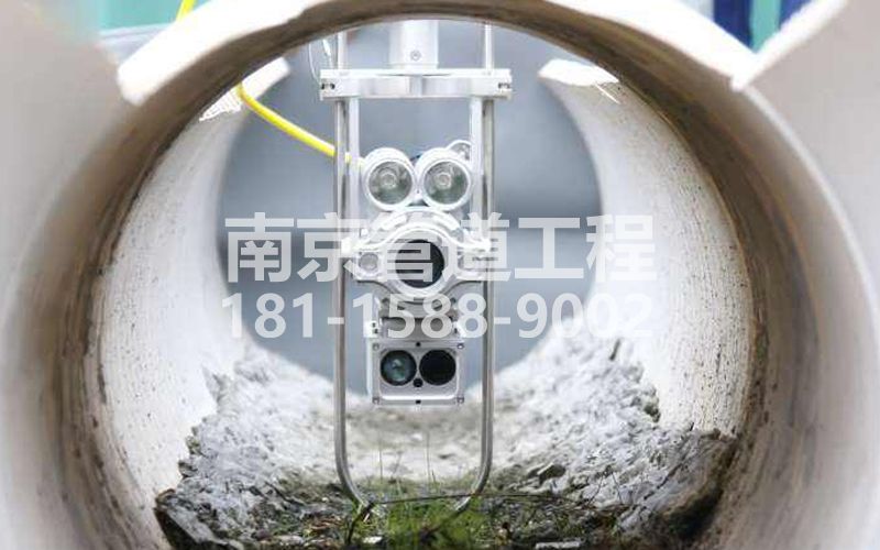 王子楼村QV检测